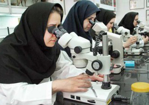 بخشی از چرخ اقتصاد جامعه  بر شانه های زنان