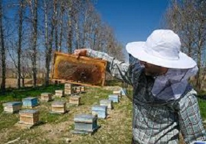۸ طرح اشتغالزا در کارگروه اشتغال شهرستان قصرشیرین به تصویب رسید