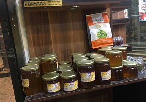 ۳۷ کیلوگرم بستنی سنتی و ۳۰ کیلوگرم عسل غیر بهداشتی درقم معدوم شد