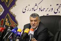 امسال یک میلیون تن گندم تولید شد/تاکید بر توسعه کشت گلخانه ای