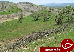 ۶۰۰ هکتار از اراضی ملی در شهرستان چگنی رفع تصرف شد