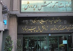 انتشار جزئیات حادثه جان باختن «دنیا ویسی» پس از تکمیل گزارش توسط مقام قضایی