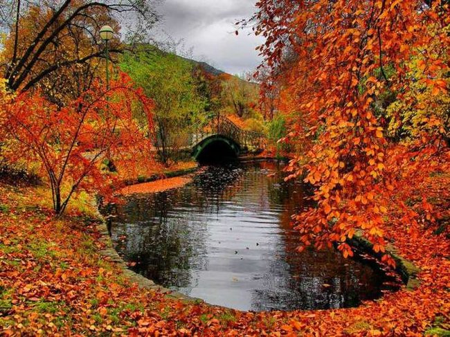 باران در قاب طبیعت+تصاویر