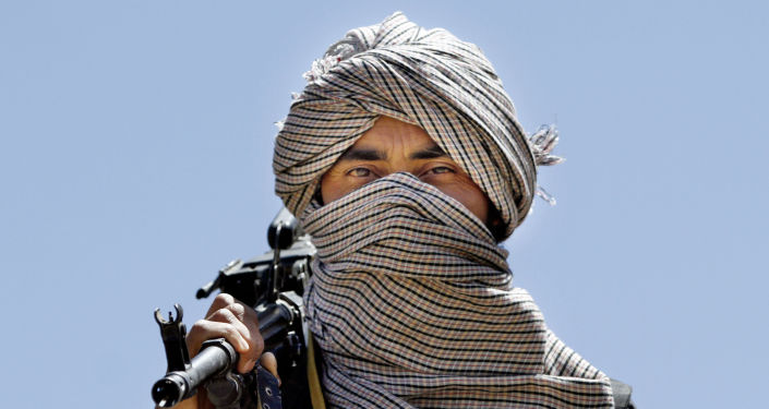 معاون والی خودخوانده طالبان در هرات کشته شد