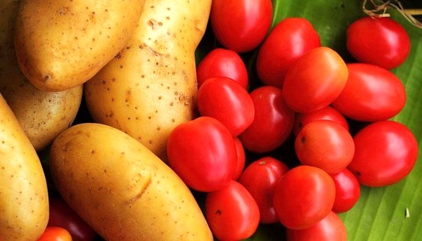 ممنوعیت صادرات سیب زمینی، رب گوجه فرنگی و خوراک دام و طیور