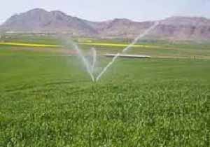 اجرای  ۷۲ هزار هکتار آبیاری تحت فشار در اراضی کشاورزی کشور