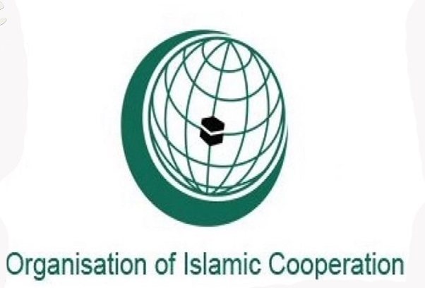 اتحادیه بین&zwnj;المجالس شانه به شانه سازمان ملل، بدون حق وتو