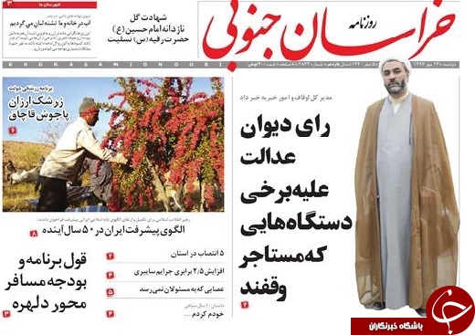 زرشک ارزان پاجوش قاچاق
