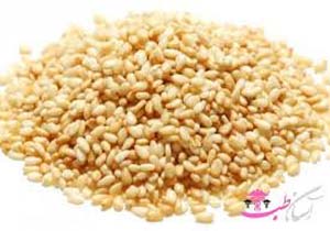 برداشت ۵۲۰ تن کنجد از مزارع خراسان شمالی