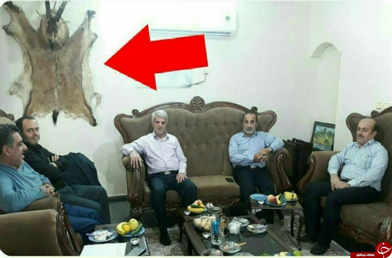 توضیحات محیط زیست مازندران درباره عکس آقای فرماندار زیر لاشه یک گوزن