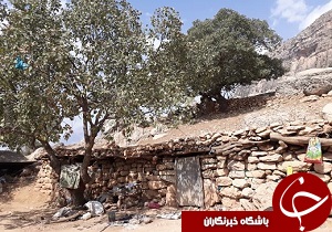 محرومیت 16 خانوار عشایری اندیکا از امکانات اولیه