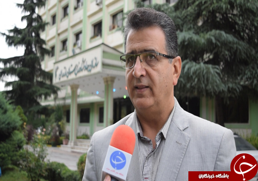 حال خوب برنج مازندران