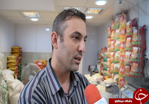حال خوب برنج مازندران