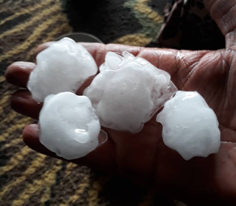 بارش ۱۰ میلیمتر باران در دیر