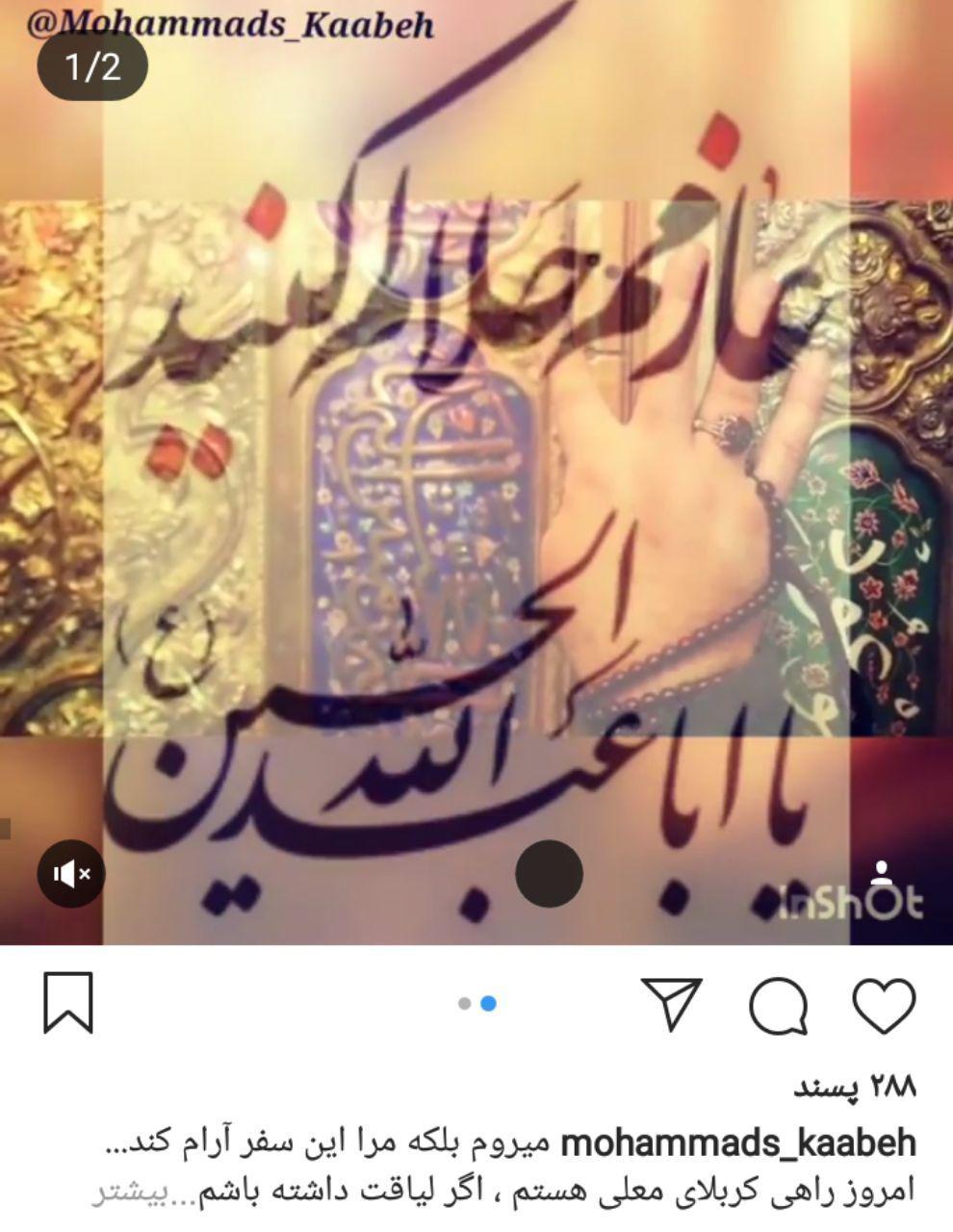 وداع مجازی زائران کربلا با هشتک حلالم کنید+ تصاویر