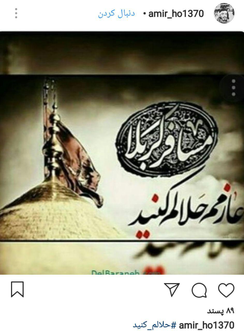 وداع مجازی زائران کربلا با هشتک حلالم کنید+ تصاویر