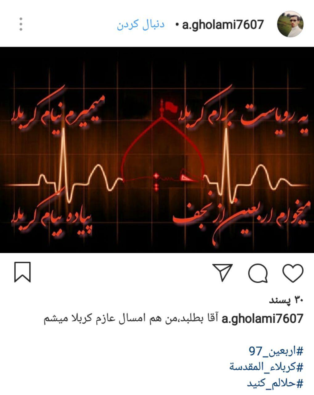 وداع مجازی زائران کربلا با هشتک حلالم کنید+ تصاویر