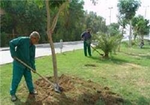 احداث پارک به متراژ بیش از 2 هزار متر مربع در ننله