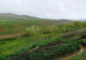 تصاویری از طبیعت دیدنی در روستای عربچه