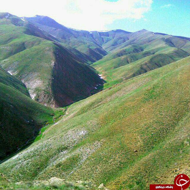 تصاویری از طبیعت دیدنی در روستای عربچه