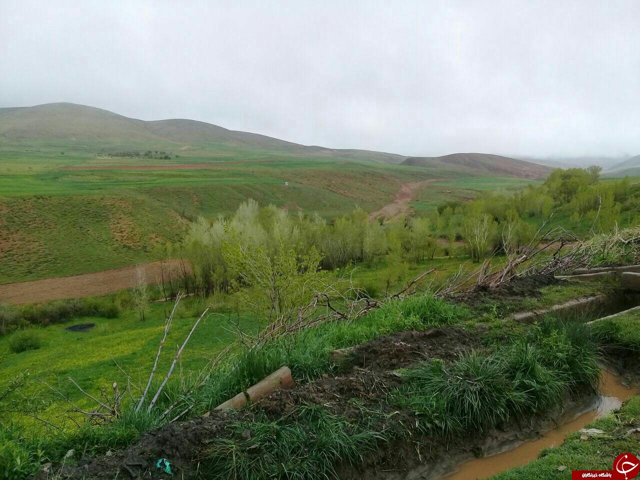 تصاویری از طبیعت دیدنی در روستای عربچه