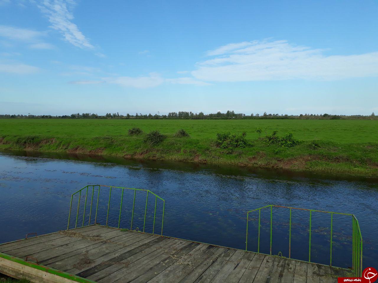 طبیعت زیبای 