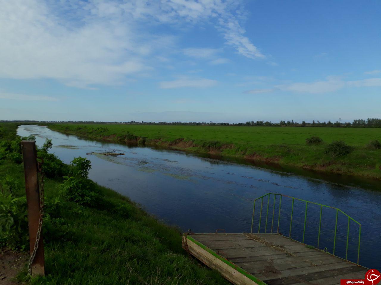 طبیعت زیبای 