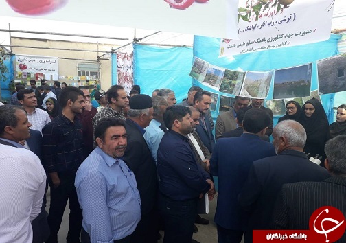 آغاز اولین جشنواره انار در باغملک