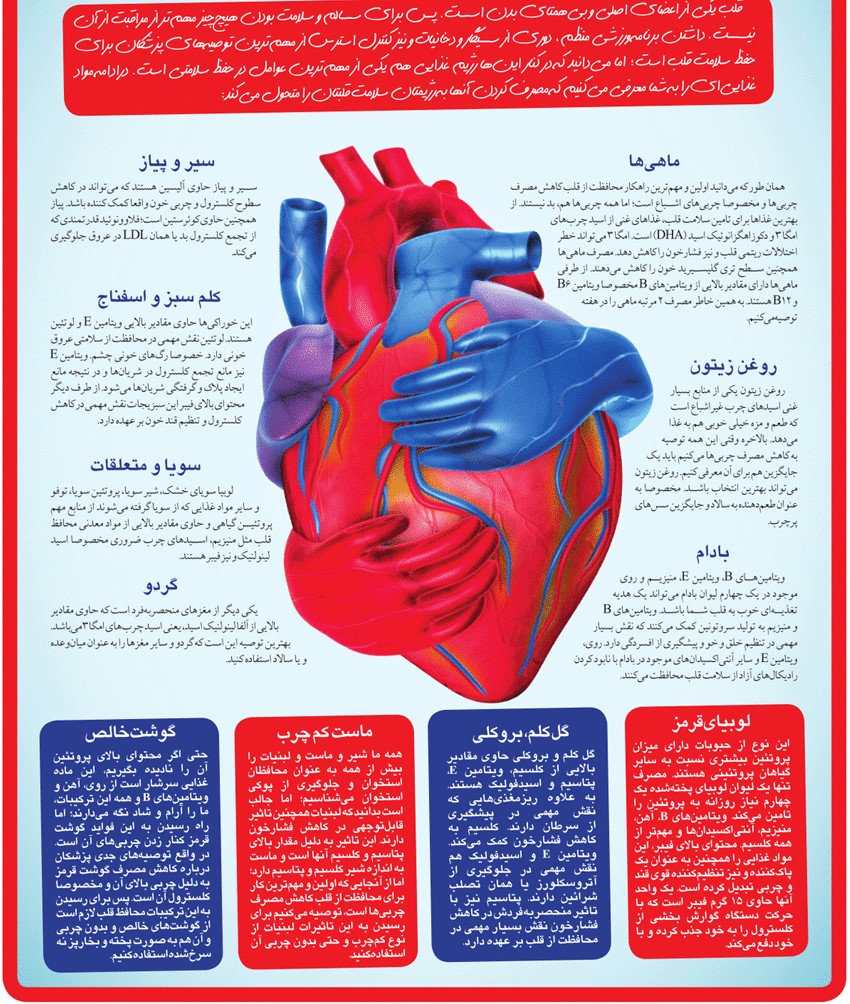 با این غذاها قلب سلامی داشته باشید+اینفوگرافی