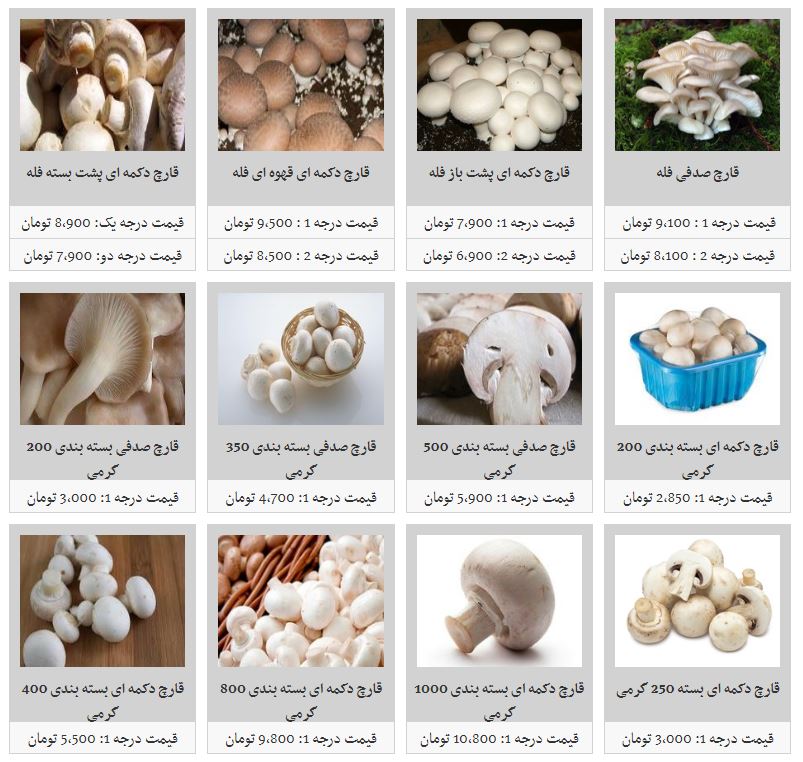 روند افزایش نسبی قیمت قارچ در بازار