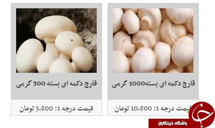 روند افزایش نسبی قیمت قارچ در بازار