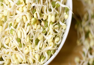 جوانه گندم با چه قیمتی در بازار به فروش می&zwnj;رسد؟