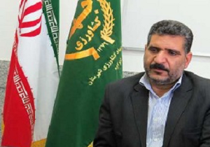 صادرات خیار سبز از استان یزد متوقف شد