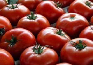 اختصاص 400 هکتار از اراضی کشاورزی شهرستان کوثر به کشت صیفی جات