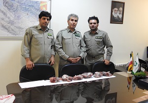 کشف لاشه یک رأس کل وحشی در آبیک