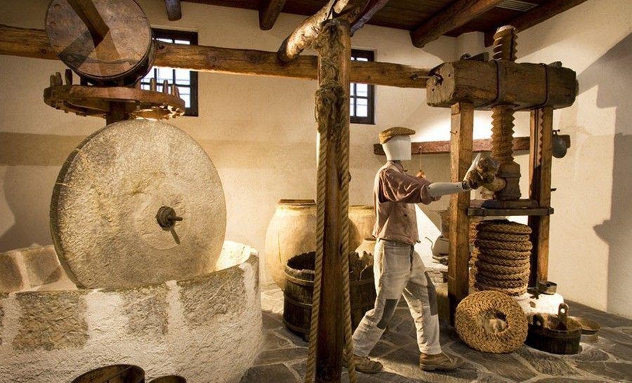 موزه ای عجیب از میوه ای بهشتی در ایتالیا+تصاویر