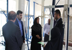 بررسی پرونده ثبت جهانی زیلوی میبد از سوی ارزیابان بین‌المللی یونسکو