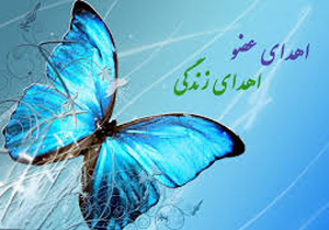 اهدای اعضای امیر رضا 3 ساله به بیماران نیازمند