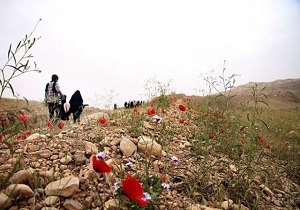بازدید کاروان های راهیان نور از یادمان شهدای بازی دراز