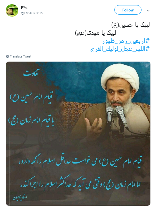 پیاده روی اربعین تمرین عاشقان حسینی برای ظهور + تصاویر