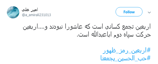 پیاده روی اربعین تمرین عاشقان حسینی برای ظهور + تصاویر