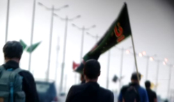 روزی برای تجلیل امامزادگان + فیلم