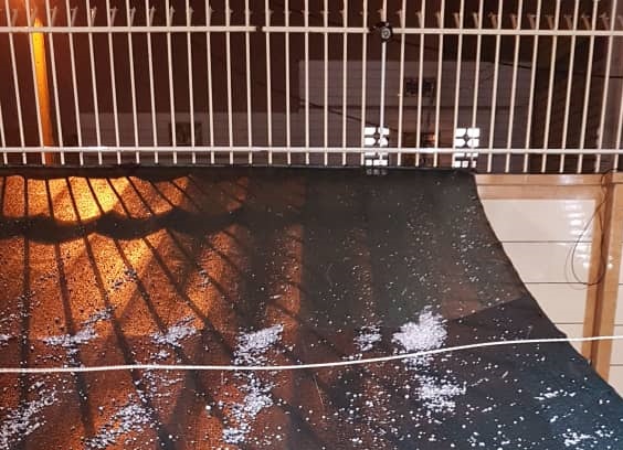 طوفان و تگرگ در دشتستان