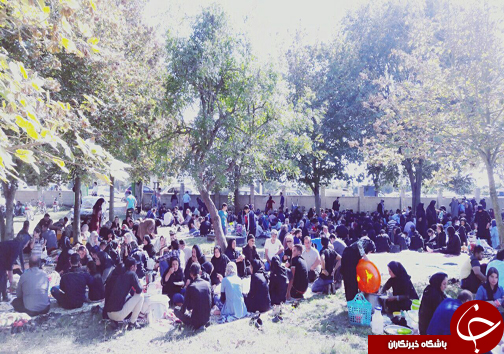برگزاری جشن خرمن در شهرستان میاندورود +تصاویر