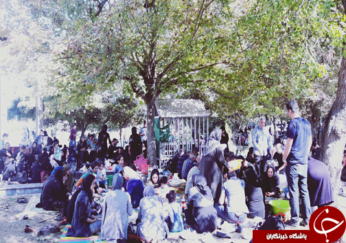 برگزاری جشن خرمن در شهرستان میاندورود +تصاویر