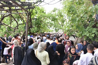 بازدید بیش از سه میلیون گردشگر از کهن باغ شهر نیاسر در کاشان