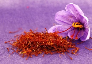 اختصاص ۱۰۰ میلیارد تومان برای ایجاد چرخه تولید زعفران