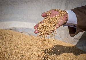 اردبیلی‌ها یک میلیارد و ۸۰۰ میلیون تومان زکات پرداخت کردند
