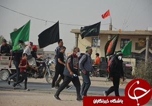 توقیف تاکنون ۳۰۰ ویزای جعلی در 2 مرز چذابه و شلمچه