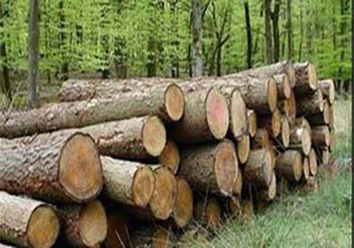نگاهی گذرا به مهمترین رویداد&zwnj;های یکشنبه ۲۹ مهرماه در مازندران